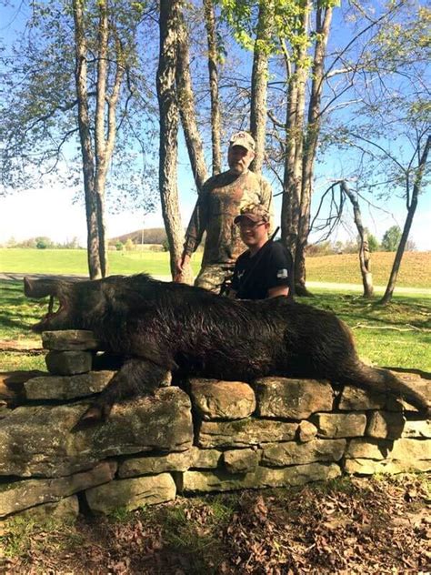 affordable hog hunting trips near me